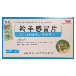 Ling Yang Gan Mao Pian – Soutien Naturel contre le Rhume et la Fièvre