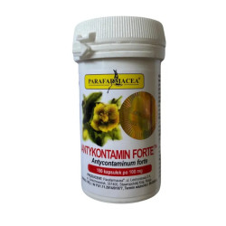 Antykontamin Forte – Santé Digestive et Élimination des Parasites