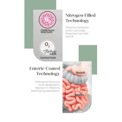 Purtier Livecell Therapy 7th Edition – antioxydants