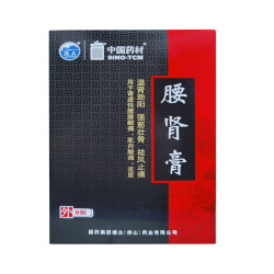 Yao Shen Gao – patch lombaires et articulations